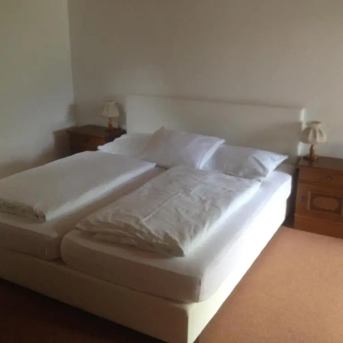 Standard Double room with lake view