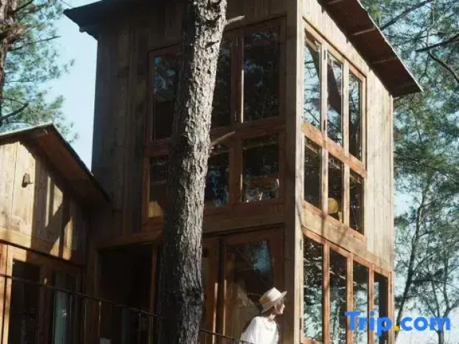 Duck Farm · The Lodge In Woods