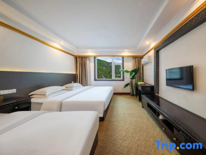 Standard Family room