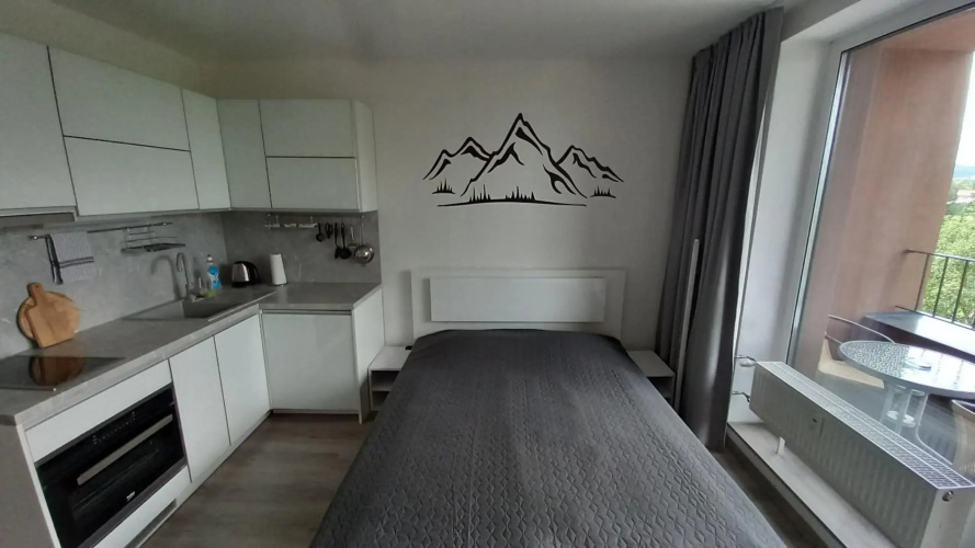 Mountain View Studio Apartment