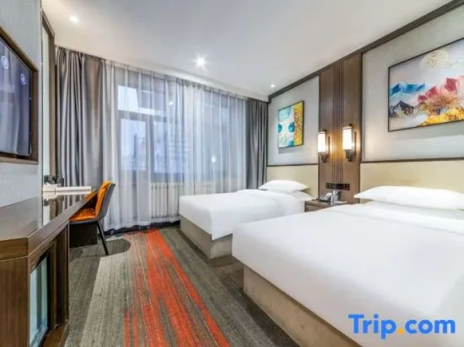 Comfort Twin Suite