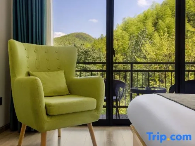 Standard Twin room with view