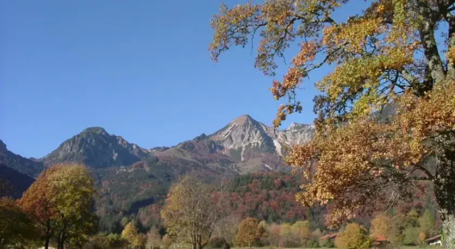 Alpenhotel Dahoam