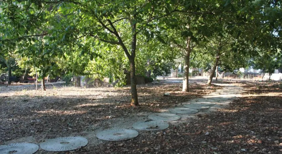 Tenuta Pignataro