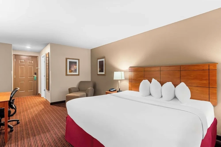 Standard Double room