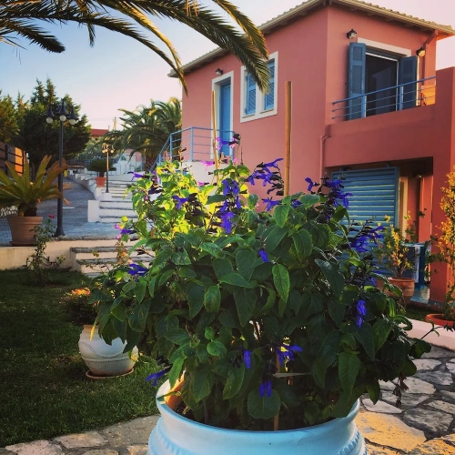 1 Bedroom Comfort Apartment with balcony and with sea view