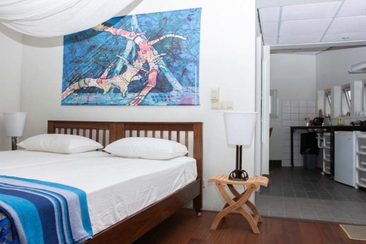 Deluxe Studio with balcony and with view