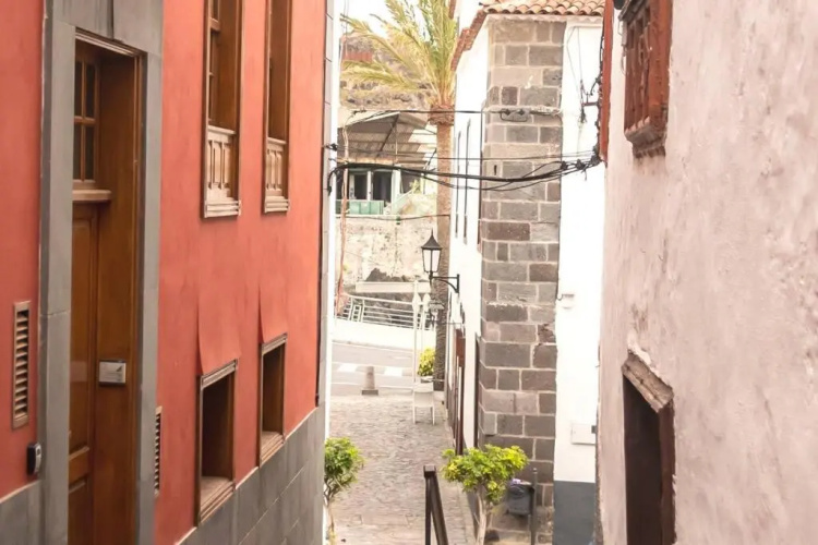Salsalitre Chico