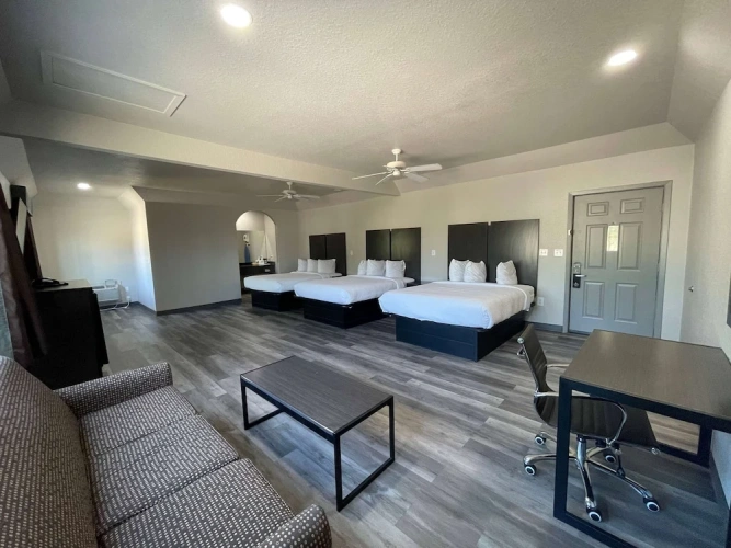 Executive Suite