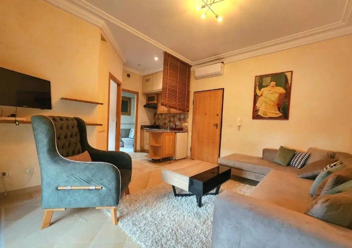1 Bedroom Apartment