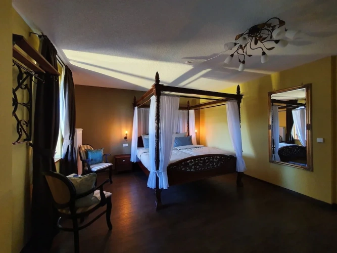 Deluxe Double room with garden view