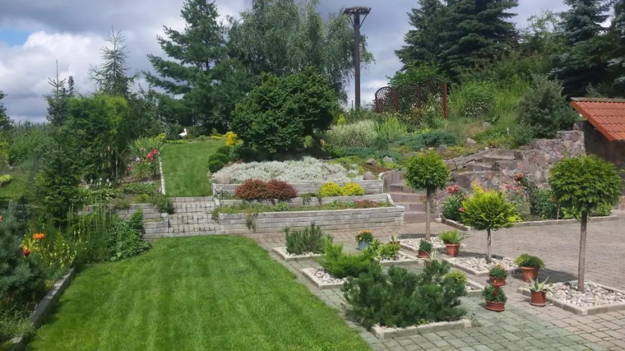 Apartament Leśna