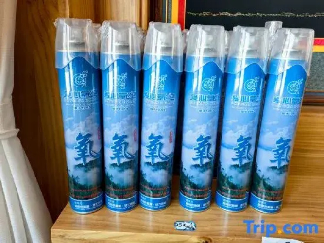 Yuji Jade Palace Hotel