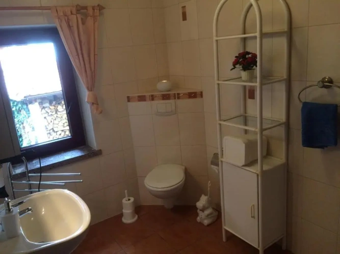 Basement Apartment