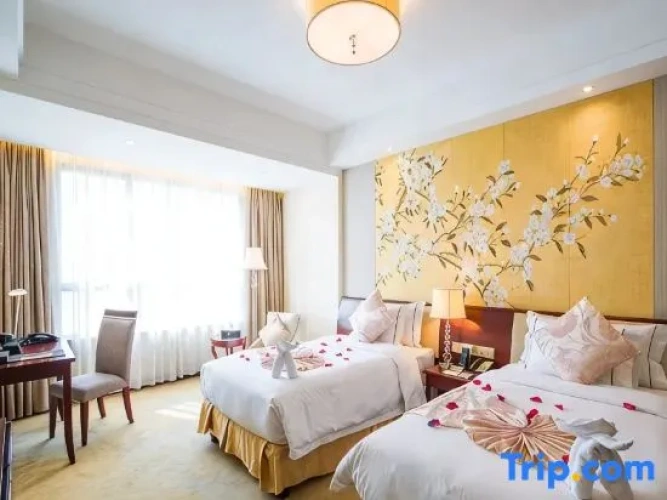 Standard Twin room with city view