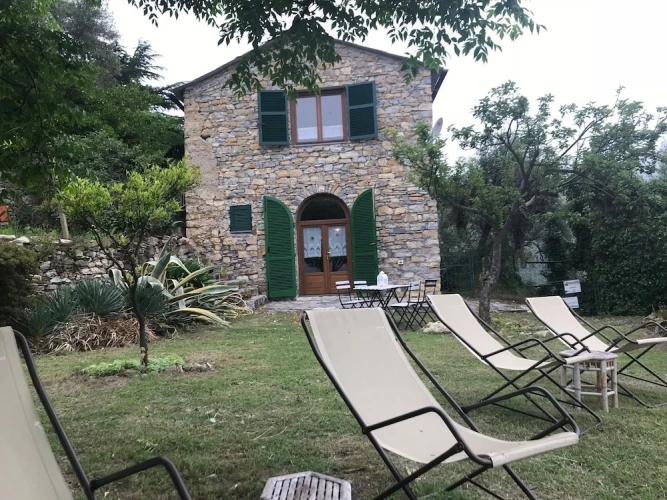 1 Bedroom Standard Apartment