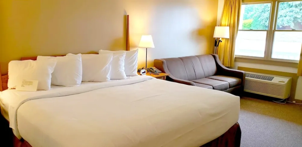 Premium Double Basement room