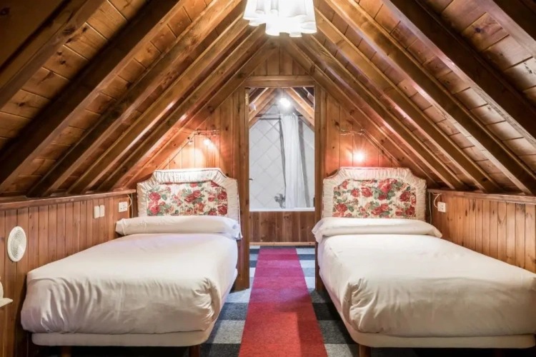 Economy Twin room