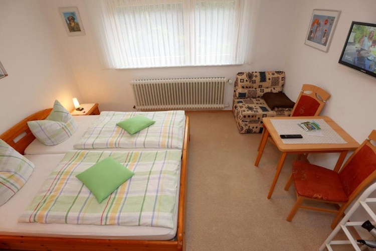 Standard Double room with mountain view