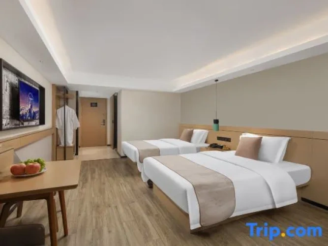 Standard Twin room with city view