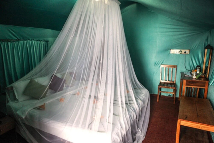 Nature Zone Jungle Resort