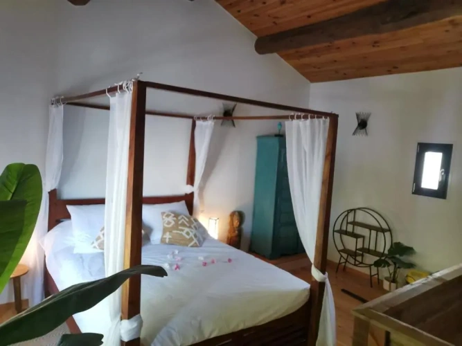 Standard Double room with garden view