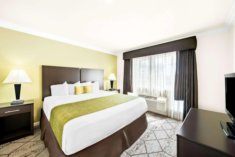 Best Western Executive Inn