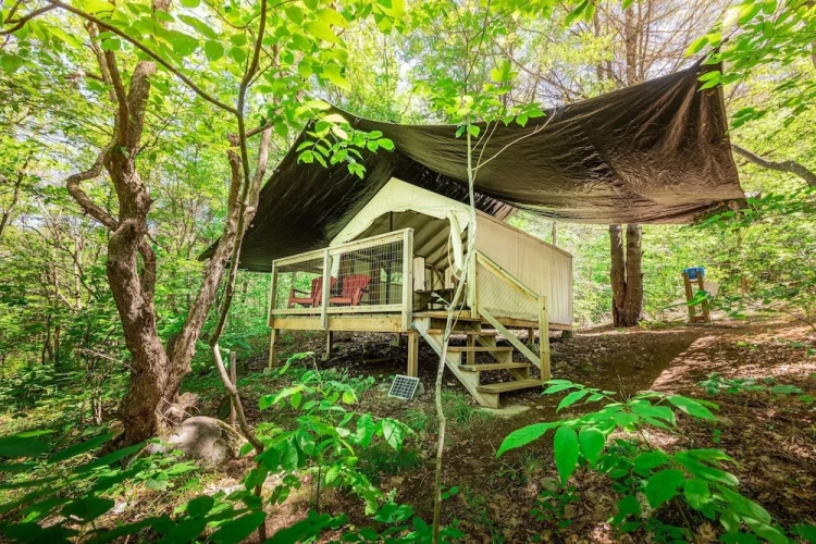 Tent