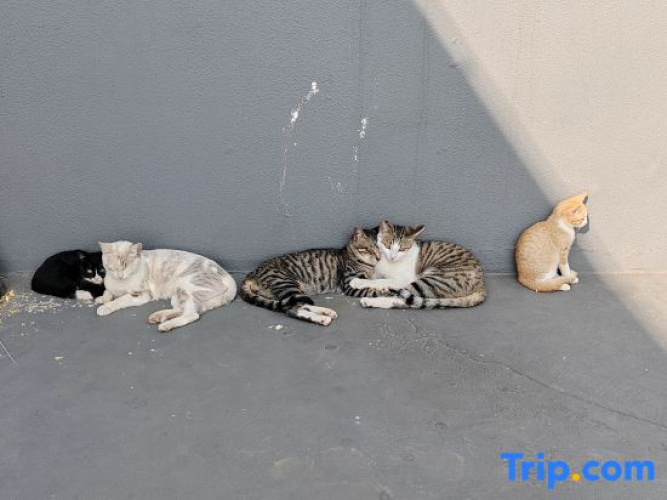 Weizhou Island Muye Homestay
