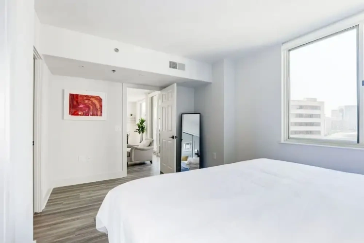 Luxury Apartment
