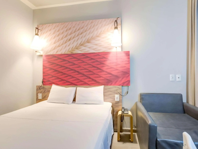Ibis Paranagua