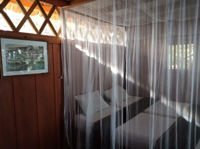 Standard Twin room with sea view