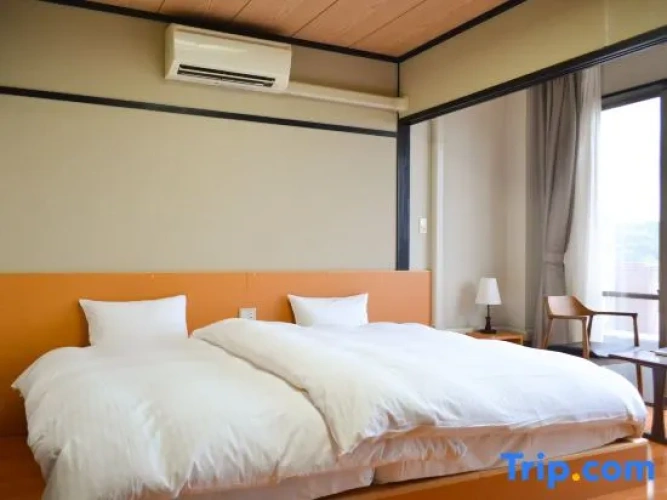 Standard Twin room with ocean view