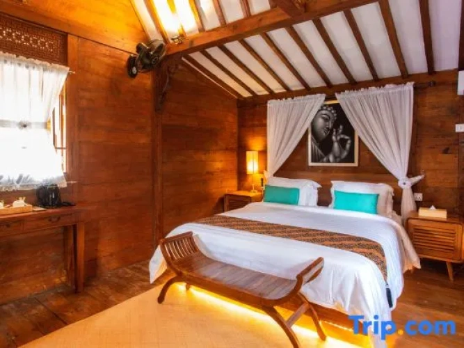 Luxury Double room