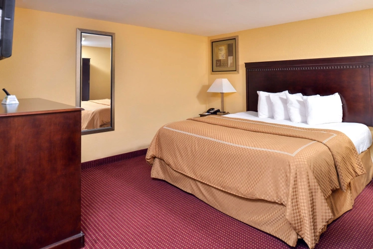 1 Bedroom Double Suite