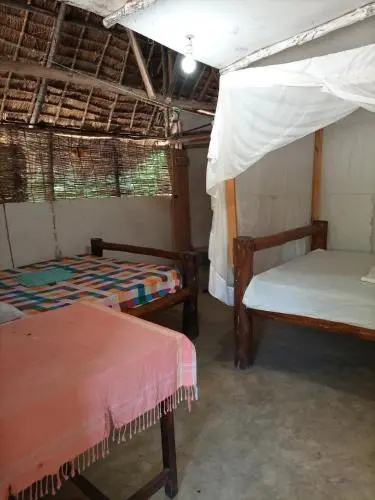 Mida Ecocamp