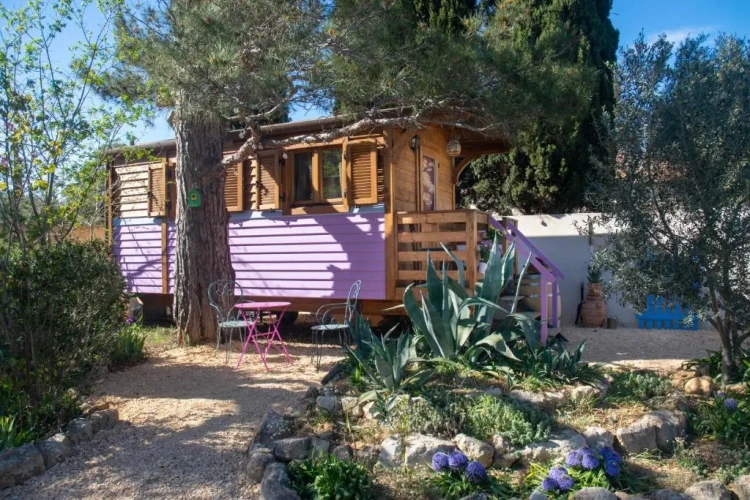 Deluxe Bungalow with garden view