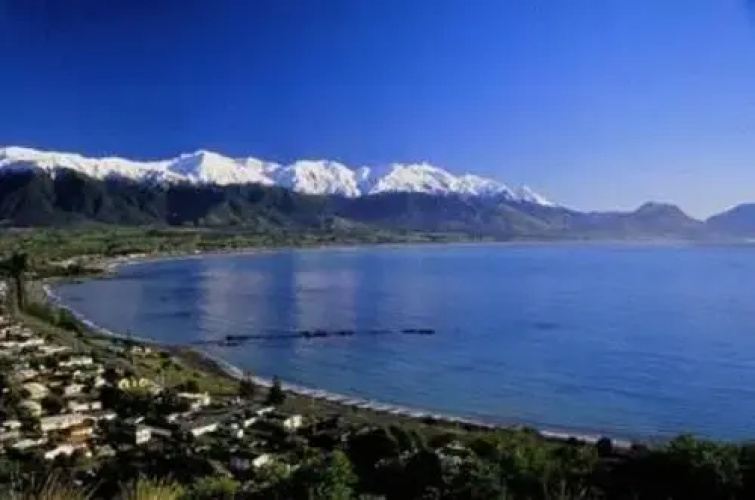 Miharotia House Boutique Bed & Breakfast