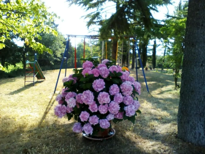 1 Bedroom Double Apartment with garden view