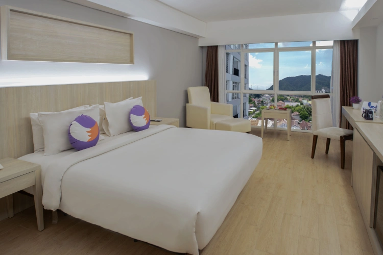 Deluxe Double room with balcony and with view
