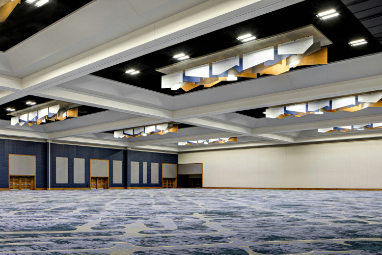 Gaylord Rockies Resort & Convention Center photo 32