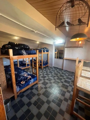 Bed in Dorm