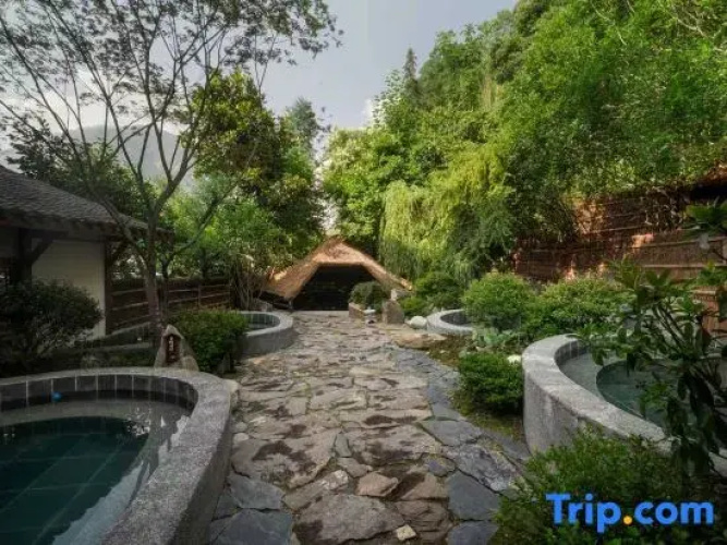 Under the Tree Art Hot Spring Homestay