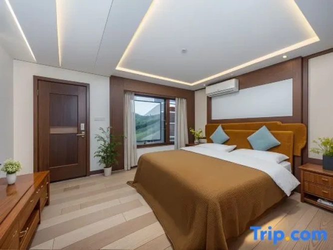 Standard Double room with view