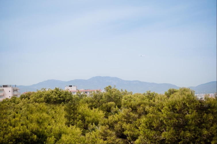 Hotel Vibra Palma Cactus photo 31