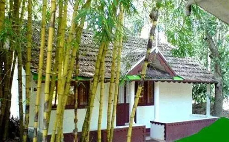Orchid Resort