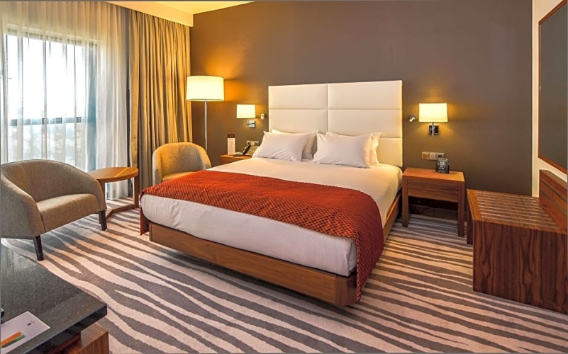 1 Bedroom Double Suite with park view