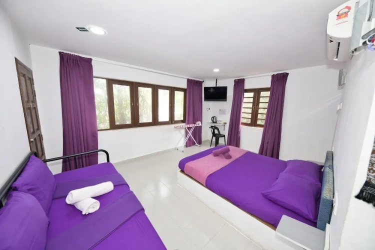Superior Suite