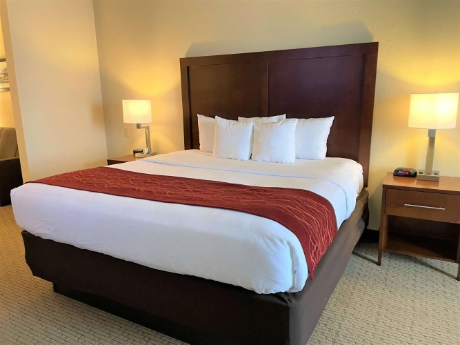 Standard Double room