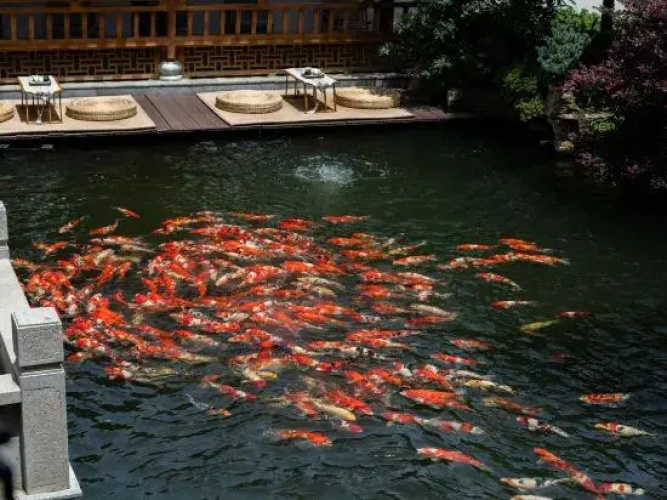 He garden hotel